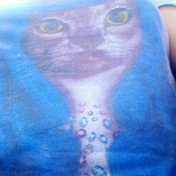 Meet your Posher, Amber - Picture 1 of 1